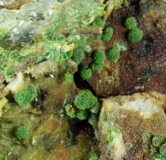Arthurite, Olivenite - Majuba Hill mine, Pershing Co., Nevada, USA