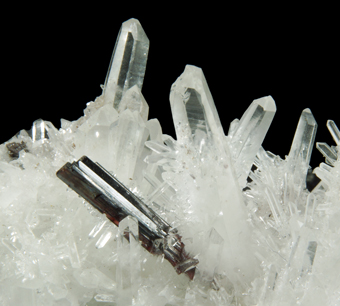 Hubnerite and Quartz - Huayllapon mine, Pasto Bueno, Ancash, Peru