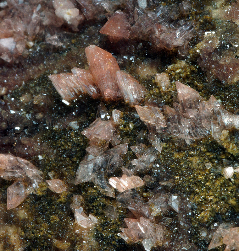 Hureaulite, Jahnsite, Leucophosphite, Rockbridgeite - Tip Top Mine, Fourmile, South Dakota, USA