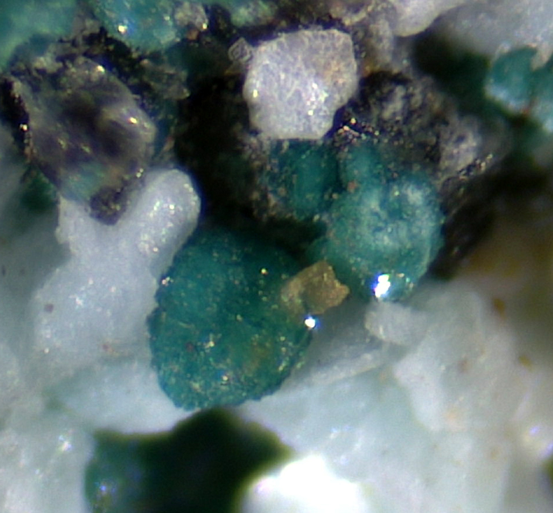 Gordaite (TL) - Sierra Gorda, Antofagasta Region, Chile