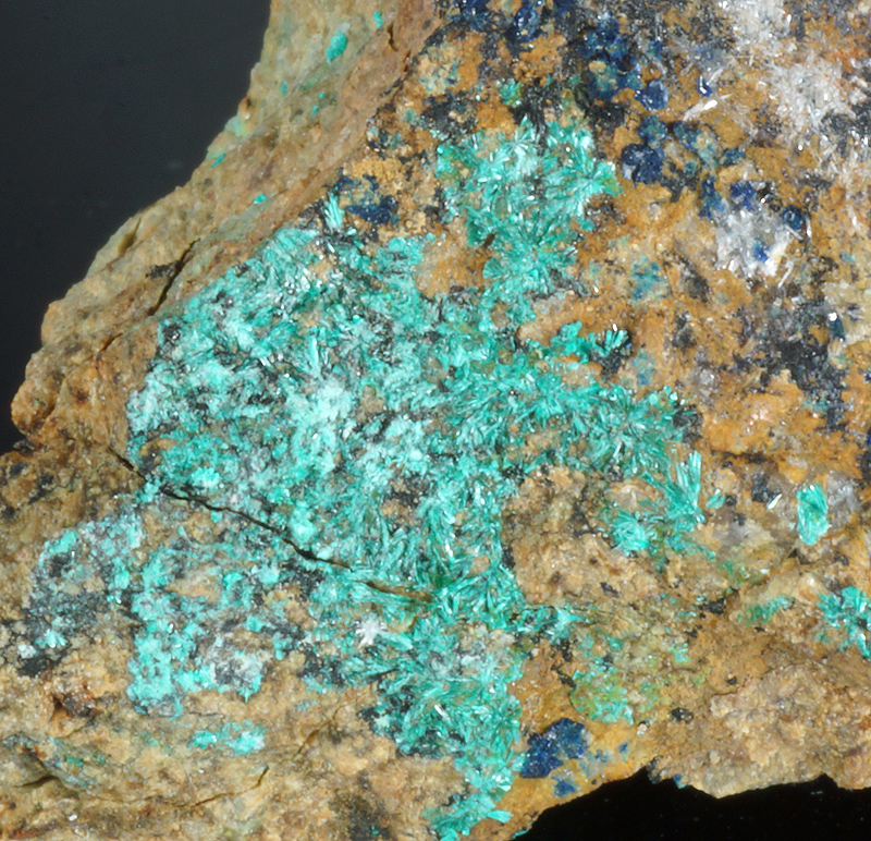 Tangdanite, Azurite - Lovelock mine, Churchill Co., Nevada, USA