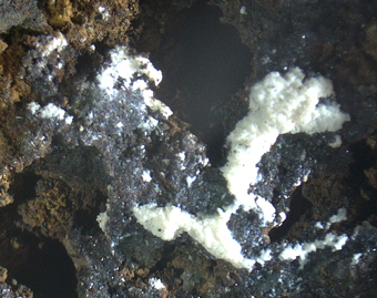 Chalcophanite - Ojuela mine, Mapim, Durango, Mexico