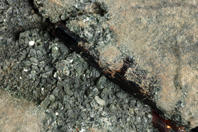 Vesuvianite, Clinochlore - Rocca Sella, Susa valley, Piedmont, Italy