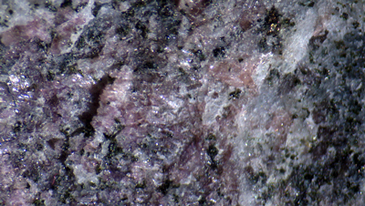 Miserite- Mont Saint Hilaire, Qubec, Canada