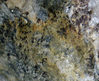 Fe-Carpholite - Varaita valley, Piedmont, Italy