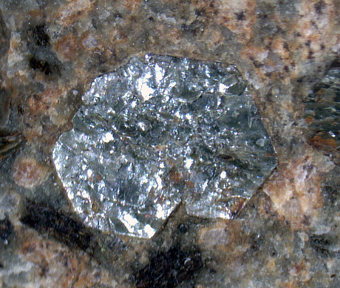 Sudoite - Zebr Valley, Valfurva, Lombardy, Italy