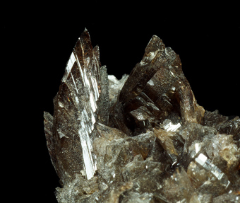 Axinite- (Fe) - Verkhnii mine, Primorskiy Kray, Far-Eastern Region, Russia