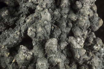 Argyrodite, Acanthite - Porco, Agua de Castilla, Potos, Bolivia