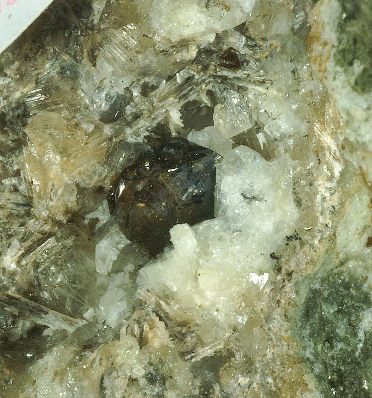 Vesuvianite, Phlogophite - Mt Somma, Campania, Italy