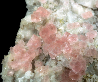 Fluorite, Quartz - Planggenstock, Gscheneralp, Gschenen Valley, Uri, Switzerland