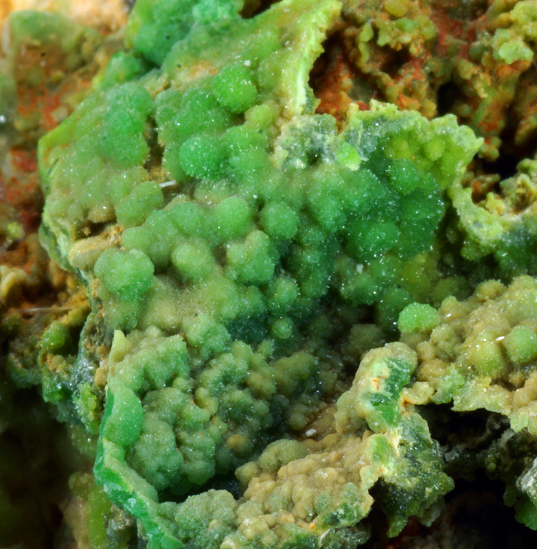 Pyromorphite - S'Ortu Becciu mine, Donori, Sardinia, Italy