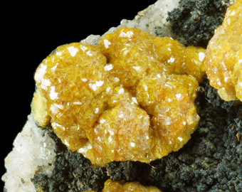 Campylite - Dry Gill mine, Caldbeck Fells, Cumbria, England, UK