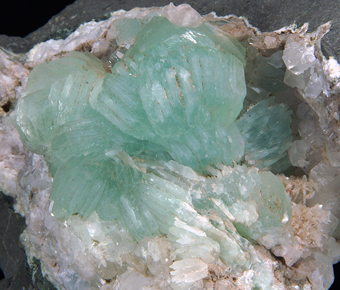 Prehnite - Goboboseb Mountains, Brandberg Area, Erongo Region , Namibia