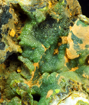 Pyromorphite - S'Ortu Becciu mine, Donori, Sardinia, Italy