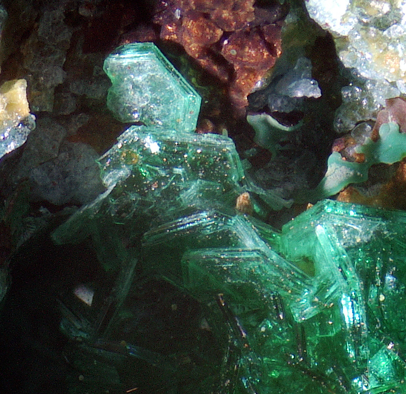 Chalcophyllite - Salsigne mine, Salsigne, Languedoc-Roussillon, France