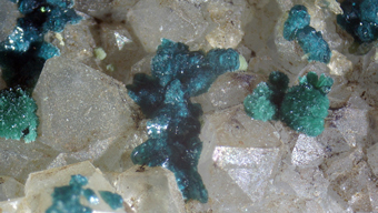 Spangolite, Brochantite - Mex-Tex mine, Bingham, New Mexico, USA