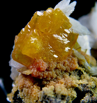 Wulfenite with Baryte and Mimetite - San Francisco Mine (Cerro Prieto Mine), Cerro Prieto, Cucurpe, Mun. de Cucurpe, Sonora, Mexico