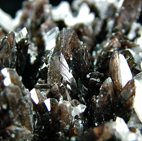 Axinite-Fe with Quartz - Dalnegorsk Urban District, Primorsky Krai, Russia