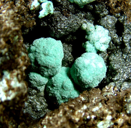 Rosasite - Silver Hill Mine group, Cochise County, Arizona, USA