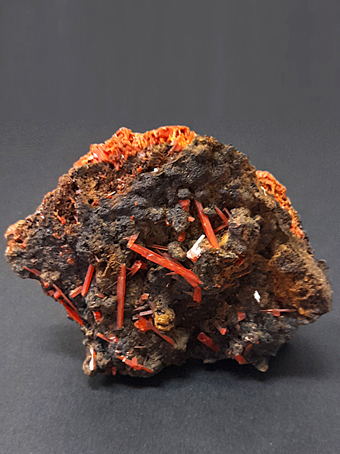 Crocoite - Red Lead Mine, Dundas mineral field, Zeehan district, West Coast municipality, Tasmania, Australia