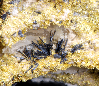 Orthobrannerite and Gold - Fenillaz lode, Brusson Mine, Aosta Valley, Italy