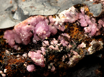 Strengite - Coon Creek Mine, Shady, Polk Co., Arkansas, USA