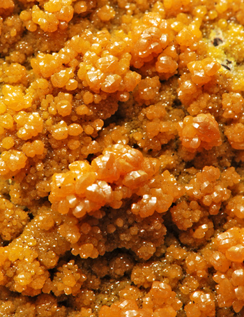 Mimetite var. Campylite - Hat Yai, Songkhla Province, Thailand