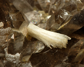 Bertrandite, Quartz and Pyrite - Kara-Oba deposit, Betpakdala Desert, Karaganda Oblast, Kazakhstan