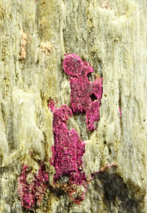 Erythrite - Vignola Mine, Valsugana, Trento Province, Trentino-Alto Adige, Italy