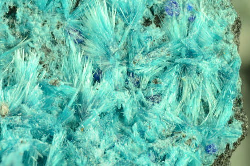 Serpierite - Baccu Locci Mine, by Villaputzu, province of Cagliari, Sardegna, Italy