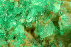 Chalcophyllite - Monte Avanza Mine, Formi Avoltri, Udine, Friuli Venezia Giulia, Italy