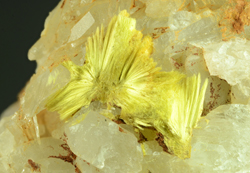 Ferrimolybdite -  Alpe Machetto Mine, Cascine Machetto, Quittengo, Biella Province, Piedmont, Italy