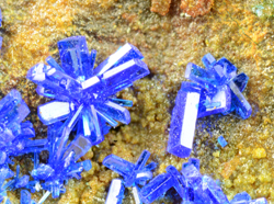 Linarite - Baccu Locci Mine, Villaputzu, Cagliari Province, Sardinia, Italy