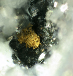 Gold - Is Concas, Furtei mine, Furtei, South Sardinia Province, Sardinia, Italy