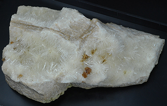 Natrolite and calcite on petrified wood - Sipi caves - Mount Elgon - Manafwa distr. - Uganda