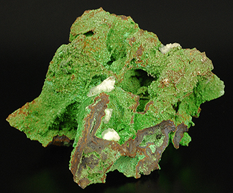 Conichalcite and calcite - Ojuela mine - Mapim - Mun. de Mapim - Durango -Mexico