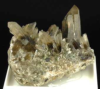 Smoky Quartz - Cerro Negro mine - Illimani Mts - Sud Yungas prov. - La Paz Deptm.- Bolivia
