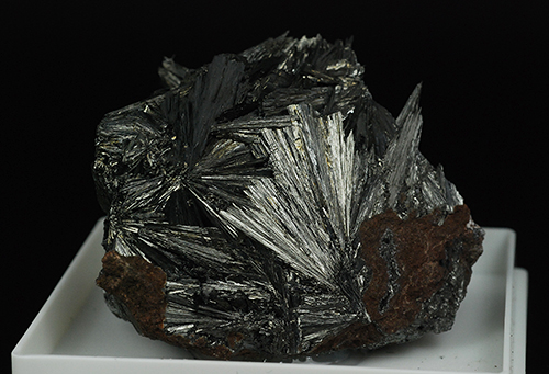Pyrolusite  Alpe di Siusi - Salto-Sciliar - Bolzano Prov. - Trentino-Alto Adige - Italy