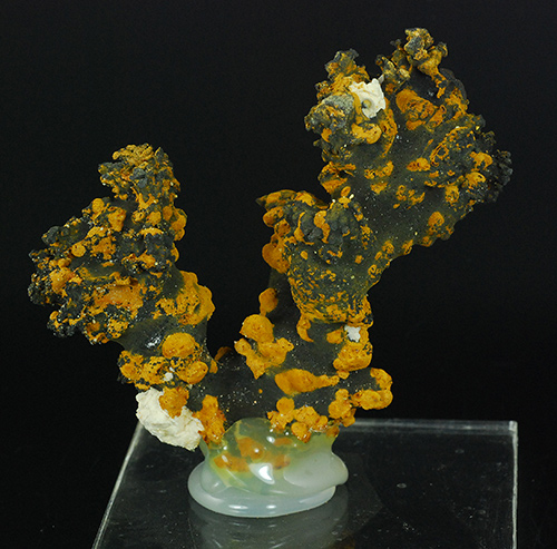 Romanechite and goethite  Kyralyszentisivan  Vezprem Distr. Hungary