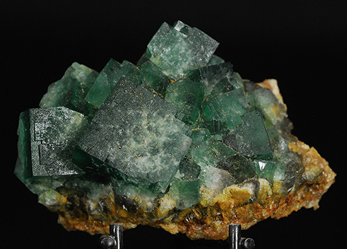 Fluorite  The Hidden Forest Pocket - Diana Maria mine - Frosterley - Weardale - Co. Durham  England  United Kingdom