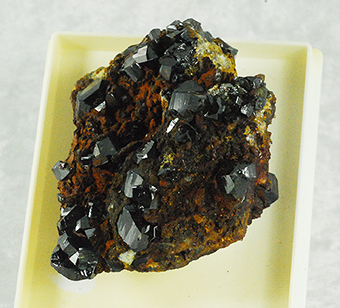 Cassiterite - Viloco mine (Araca mine) -  Loayza Prov. - La Paz - Bolivia