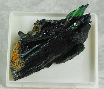 Vivianite - Cabea de Cachorro claim - Sao Gabriel de Cahoeira - Amazonas - Brazil