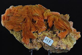 Baryte - Mibladen mining distr. - Midelt Prov. - Dra-Tafilalet Region - Morocco