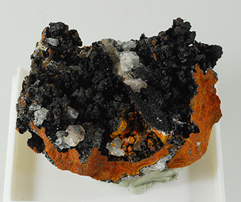 Calchophanite - Ojuela Mine - Mapim - Mun. de Mapim - Durango - Mexico