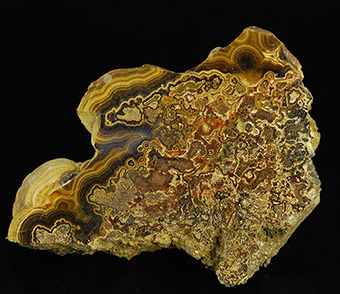Schalenblende (var. of sphalerite) - Cimitire quarry - Seilles - Andenne - Namur - Wallonia - Belgium