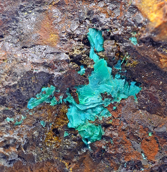 Chalcophyllite - Majuba Hill Mine, Antelope Mining District, Pershing Co., Nevada, USA