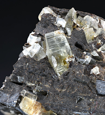 Shortite - Green River Formation, Sweetwater Co., Wyoming, USA (TYPE LOCALITY)