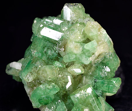 Vesuvianite (Rich Chromium) - Jefrrey Mine - Asbestos - Quebec - Canada