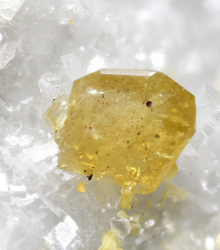 Monazite-(Ce) - Trimouns Talc Mine, Luzenac, Arige, Midi-Pyrnes, France
