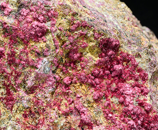 Erythrite -  Sara Alicia Mine, San Bernardo, lamos Municipality, Sonora, Mexico
